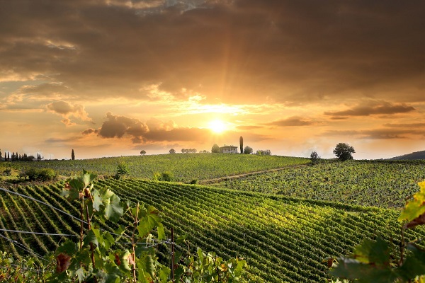 Tuscan landscape 