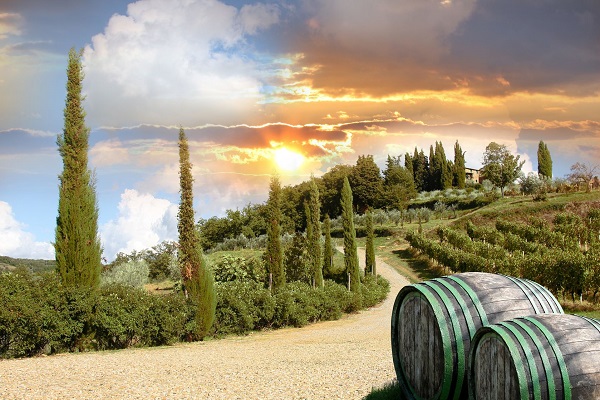Vineyard wedding in Tuscany
