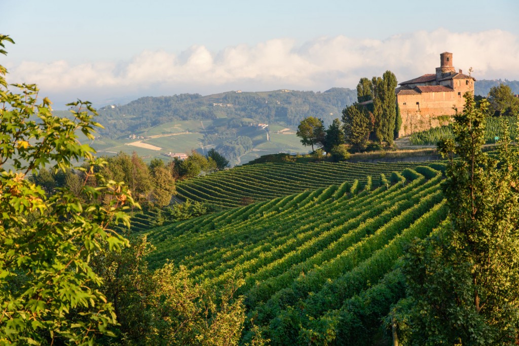 Langhe Barolo Wine Region, Piedmont 