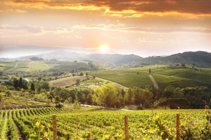Unique landscape for unforgettable weddings in Tuscany