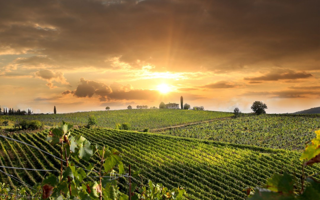 Getting married in the wine region of Valpolicella