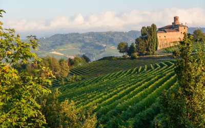 A Wedding in a Vineyard in Italy